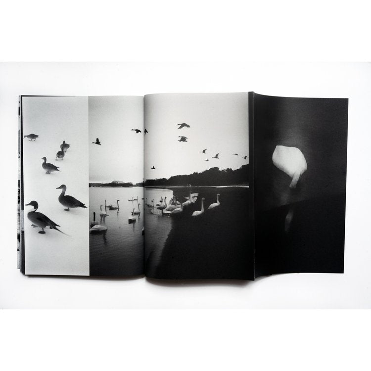 BEYOND WHAT YOU SEE · Toshiya Watanabe