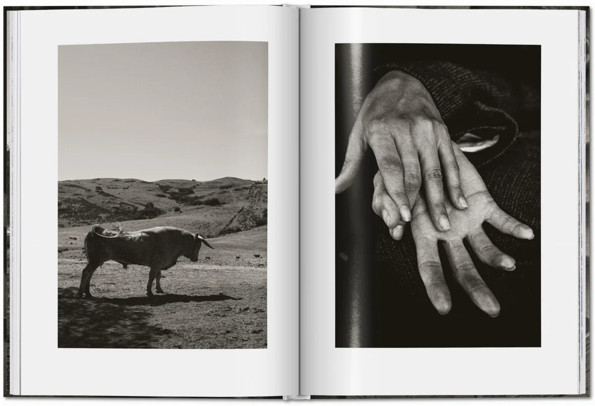 PETER LINDBERGH · Untold Stories (MINI)