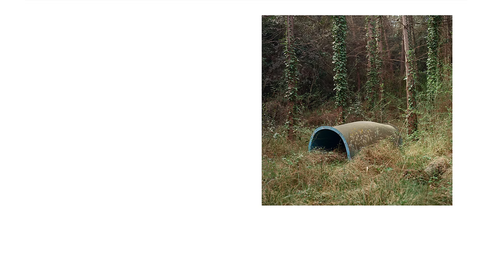 AFTERSUN · Pol Viladoms