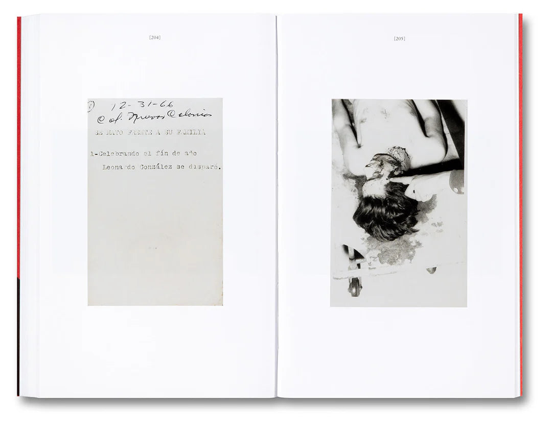 AGAINST BARTHES: THE EYE AND THE INDEX · Joan Fontcuberta