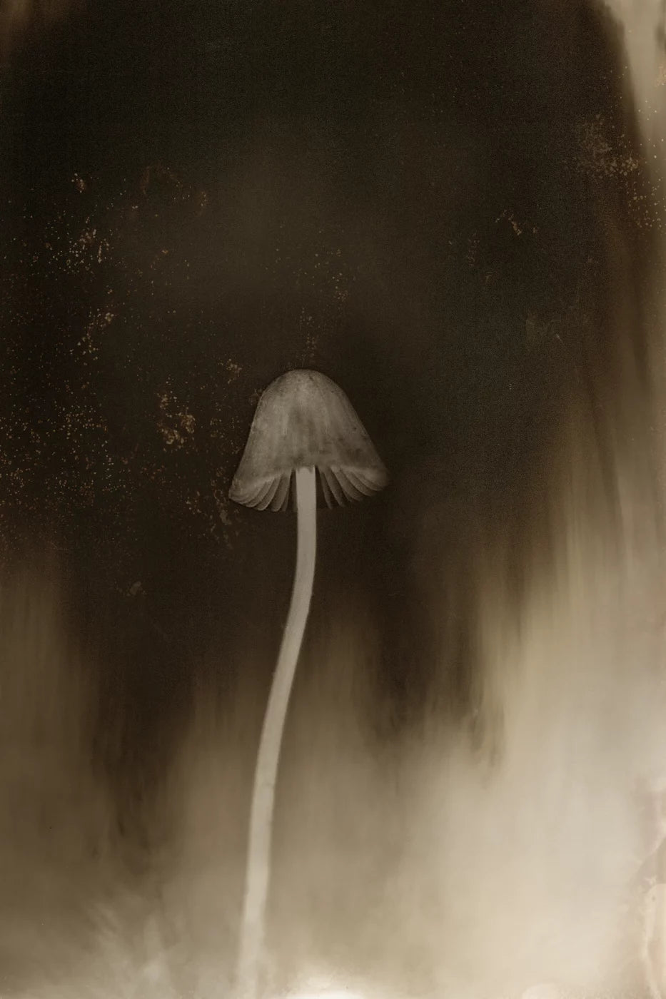 EXIT · Nº98 Flora: Natural vs Artificial