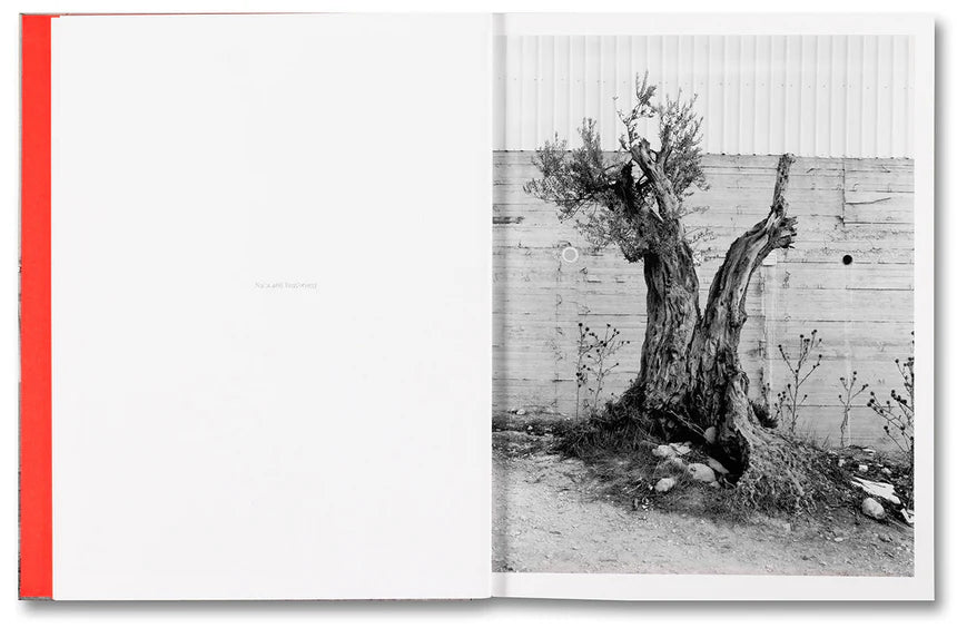 ANCHOR IN THE LANDSCAPE · Adam Broomberg & Rafael Gonzalez