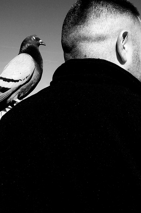 8 PUNTAS · David Salcedo