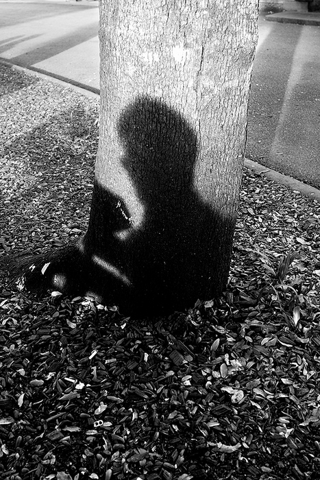 8 PUNTAS · David Salcedo