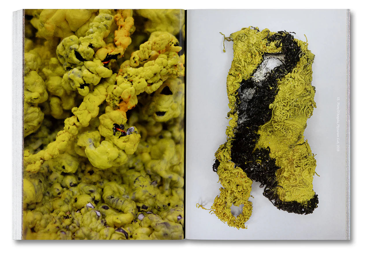 DIRTY LOOKS · Desire and Decay in Fashion