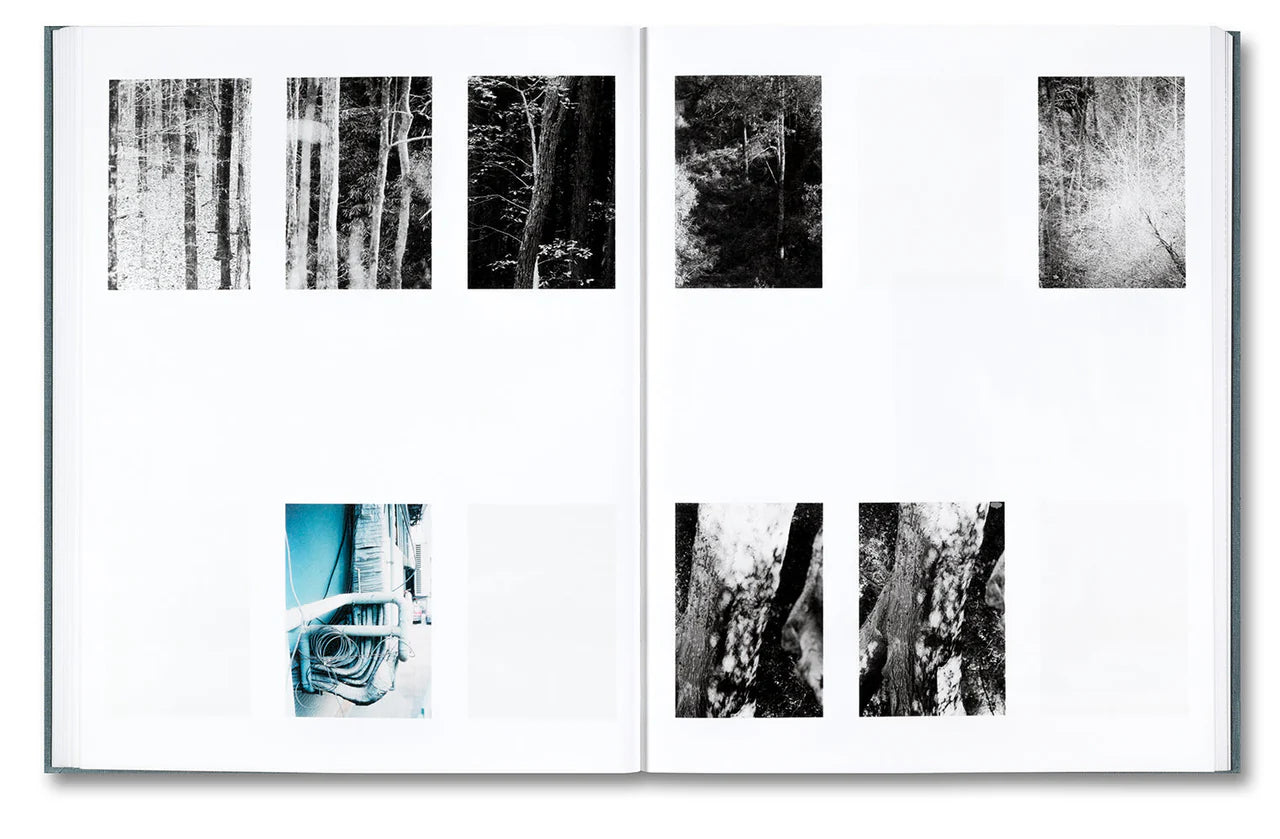 DISTRIBUTION · Daniel Shea