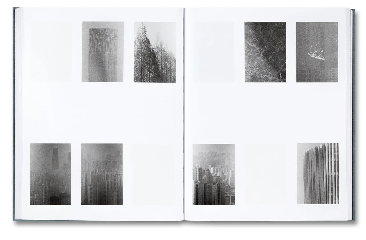 DISTRIBUTION · Daniel Shea