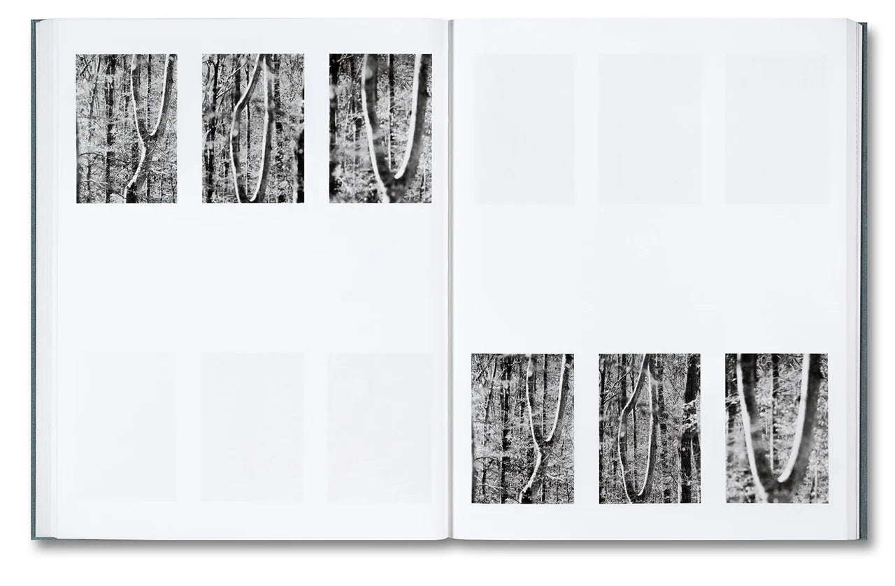 DISTRIBUTION · Daniel Shea