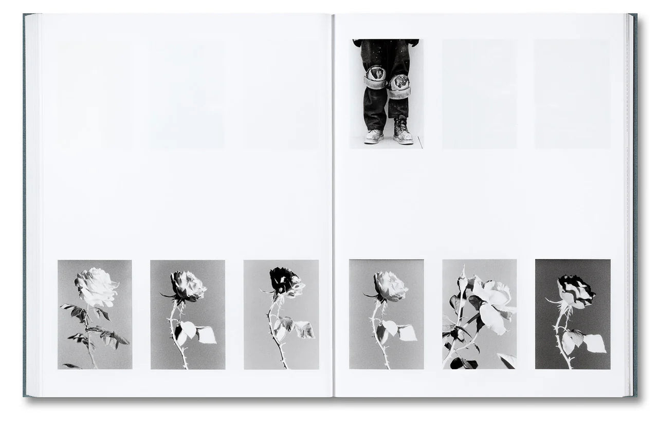 DISTRIBUTION · Daniel Shea