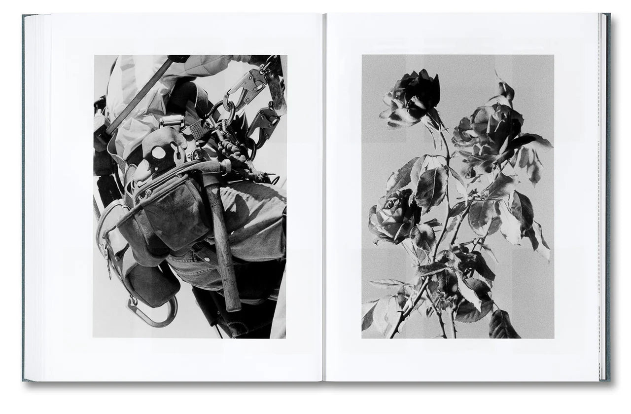 DISTRIBUTION · Daniel Shea