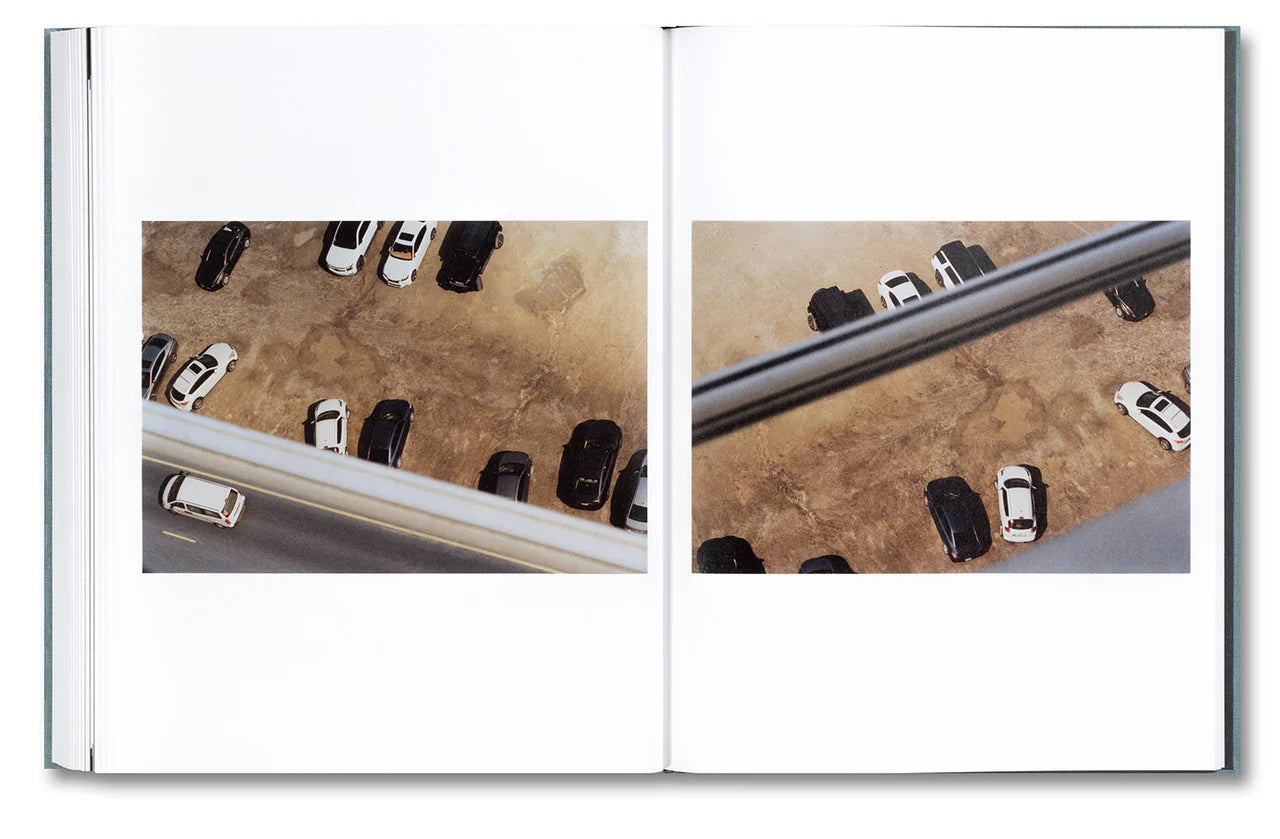 DISTRIBUTION · Daniel Shea