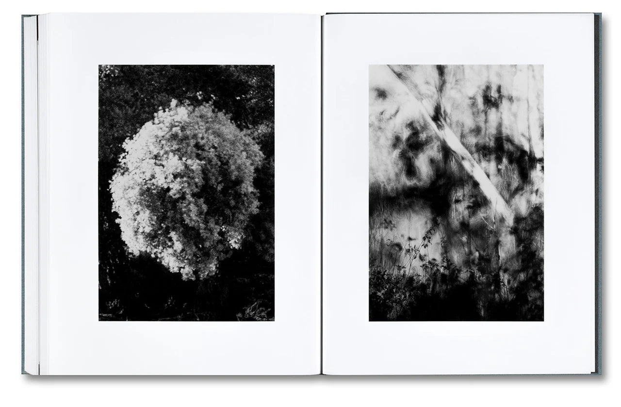 DISTRIBUTION · Daniel Shea