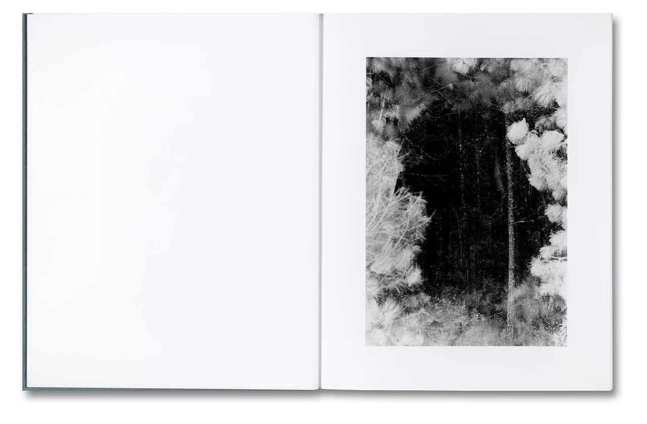 DISTRIBUTION · Daniel Shea