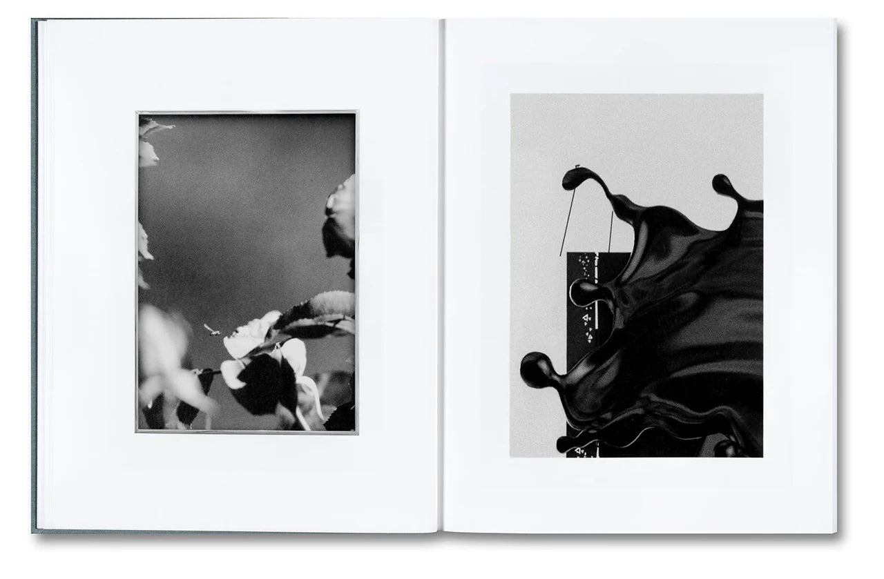 DISTRIBUTION · Daniel Shea