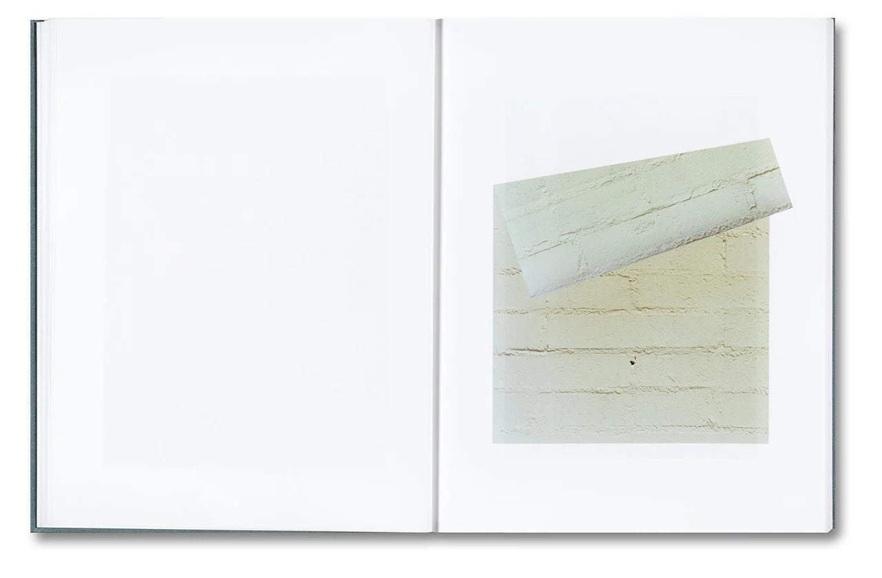 DISTRIBUTION · Daniel Shea