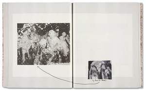 GATHERED LEAVES ANNOTATED · Alec Soth