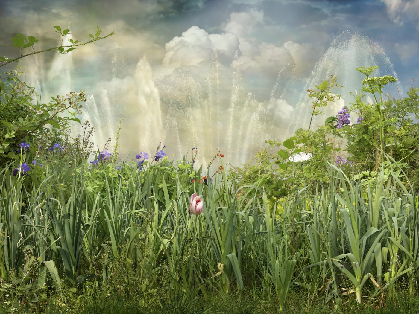 EXIT · Nº98 Flora: Natural vs Artificial