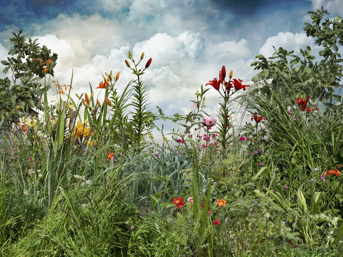 EXIT · Nº98 Flora: Natural vs Artificial