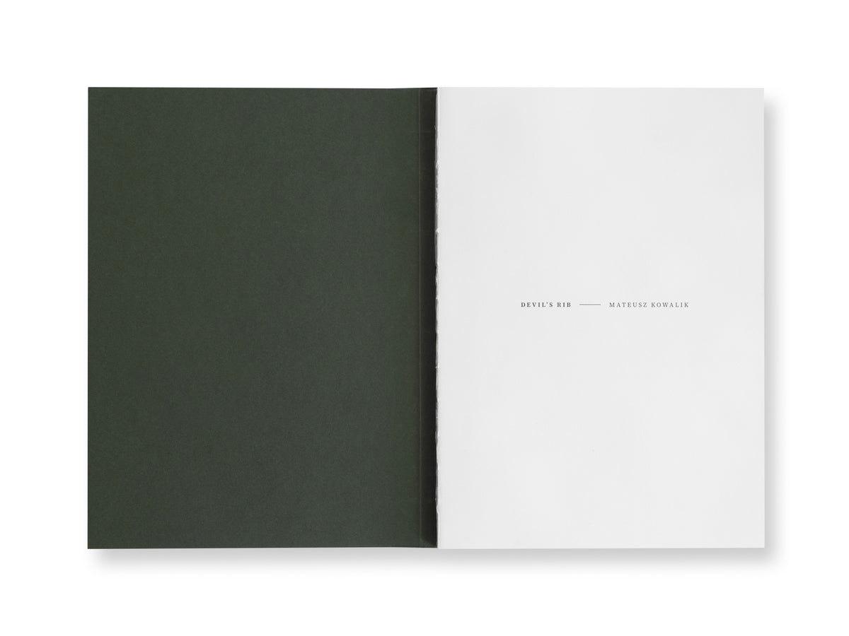 DEVIL'S RIB · Mateusz Kowalik – LASAL BOOKS