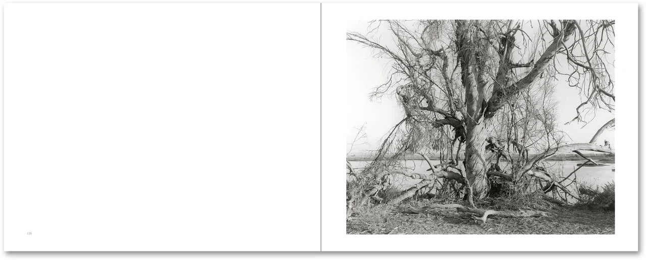 THE WESTERN EDGE · Mark Ruwedel