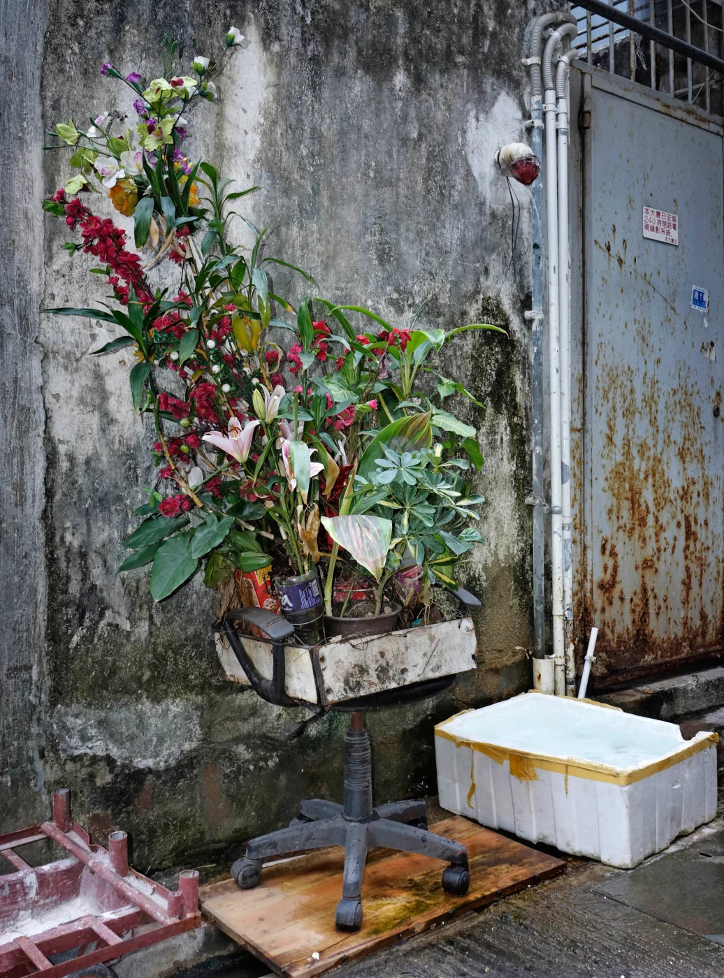 EXIT · Nº98 Flora: Natural vs Artificial