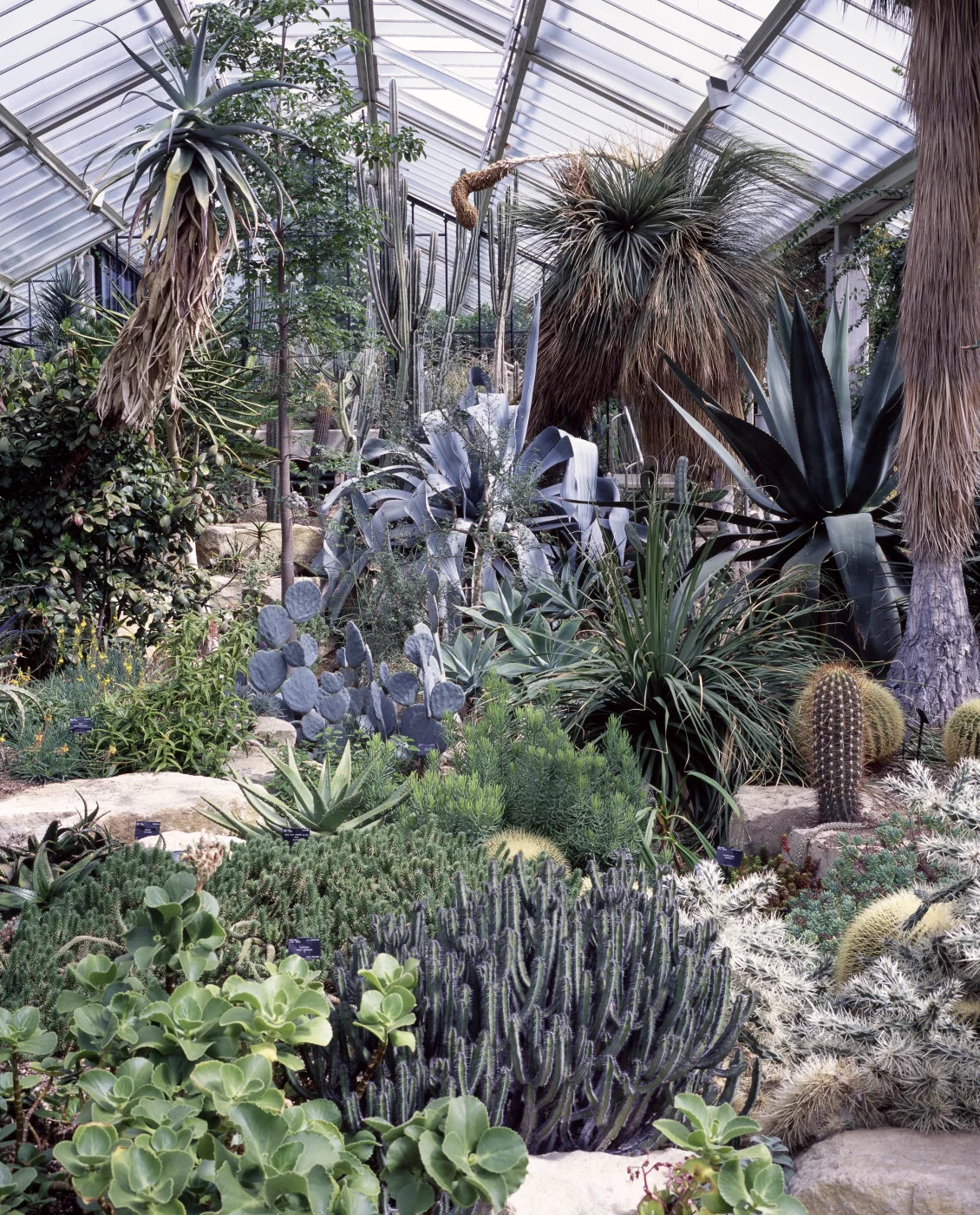 EXIT · Nº98 Flora: Natural vs Artificial