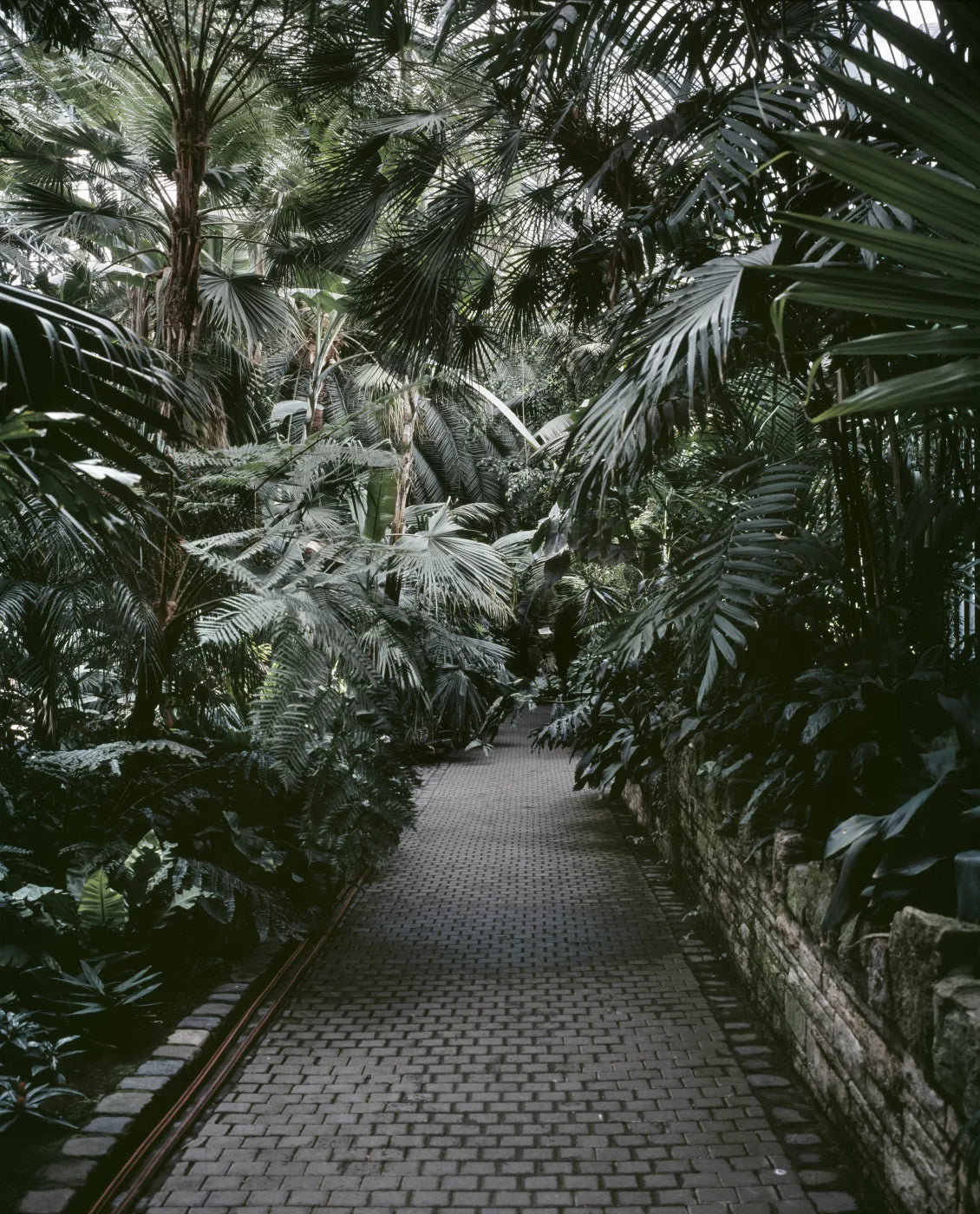 EXIT · Nº98 Flora: Natural vs Artificial