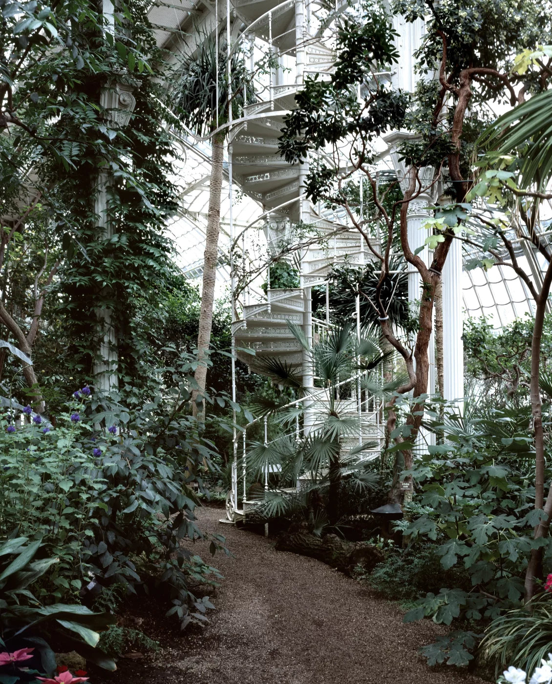 EXIT · Nº98 Flora: Natural vs Artificial