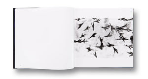 RAVENS · Masahisa Fukase