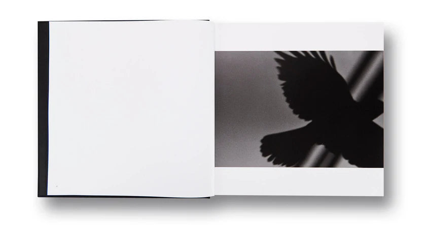 RAVENS · Masahisa Fukase