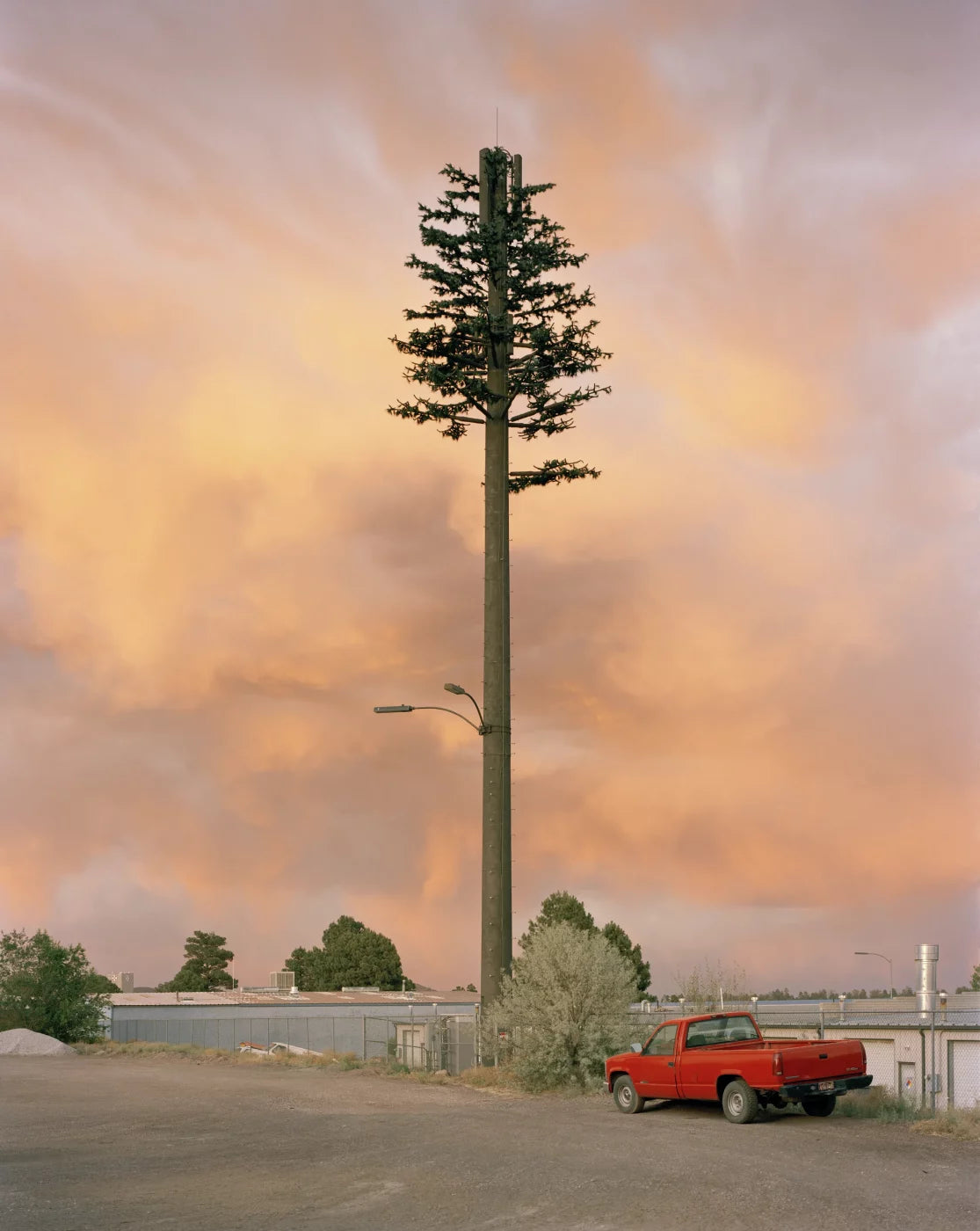 EXIT · Nº98 Flora: Natural vs Artificial