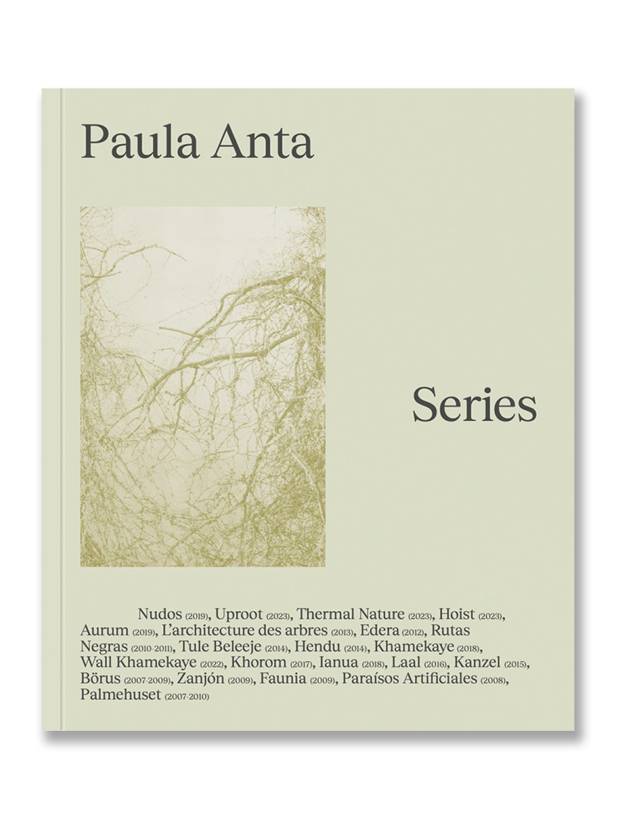 SERIES · Paula Anta