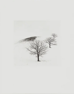 COLLOTYPE MICHAEL KENNA (HOKKAIDO)