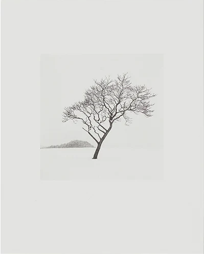 COLLOTYPE MICHAEL KENNA (HOKKAIDO)