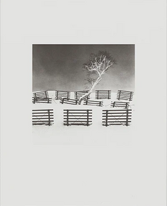 COLLOTYPE MICHAEL KENNA (HOKKAIDO)