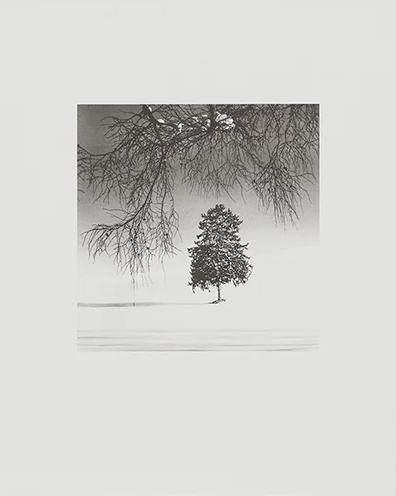 COLLOTYPE MICHAEL KENNA (HOKKAIDO)