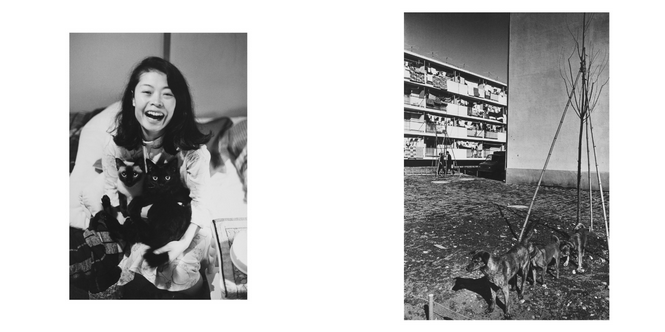 YOKO · Masahisa Fukase