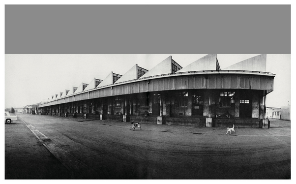 HOMO LUDENS · Masahisa Fukase