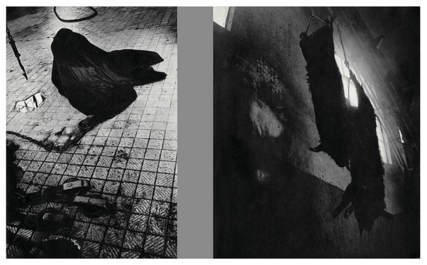 HOMO LUDENS · Masahisa Fukase