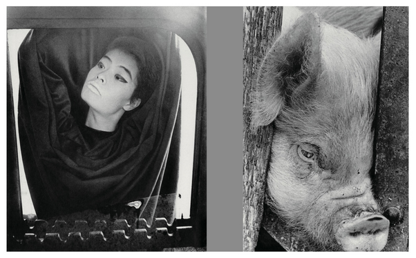 HOMO LUDENS · Masahisa Fukase