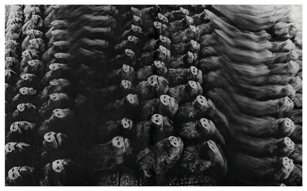 HOMO LUDENS · Masahisa Fukase