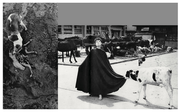 HOMO LUDENS · Masahisa Fukase