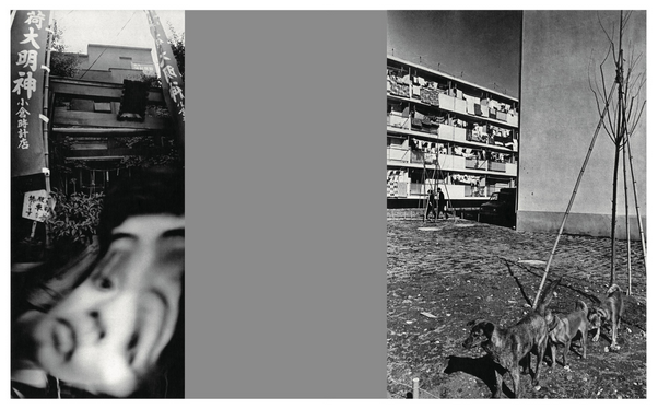 HOMO LUDENS · Masahisa Fukase