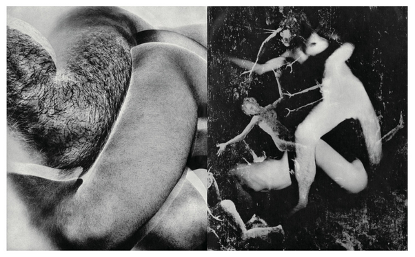 HOMO LUDENS · Masahisa Fukase