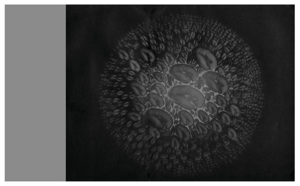 HOMO LUDENS · Masahisa Fukase