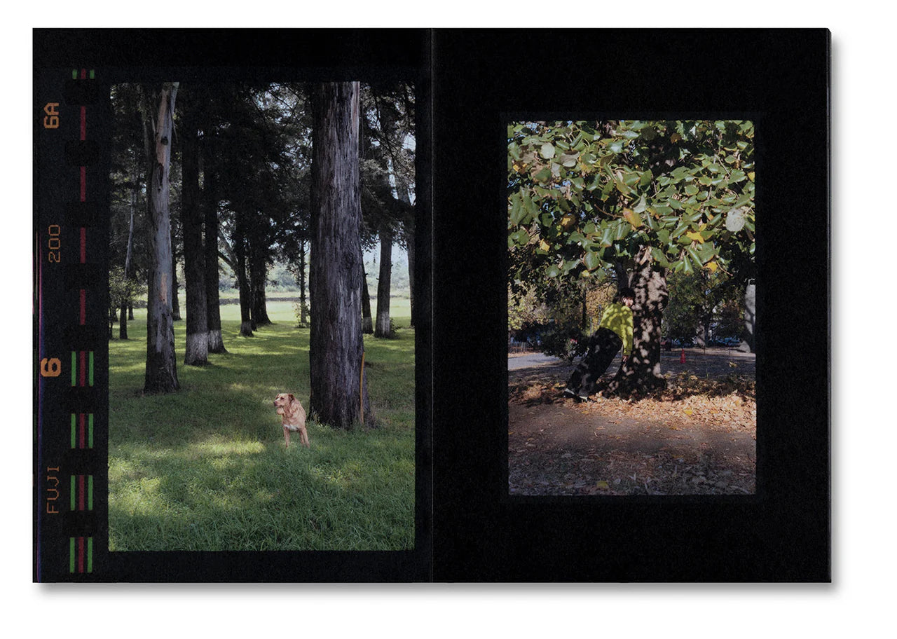 SMALL DEATH · Martha Naranjo Sandoval