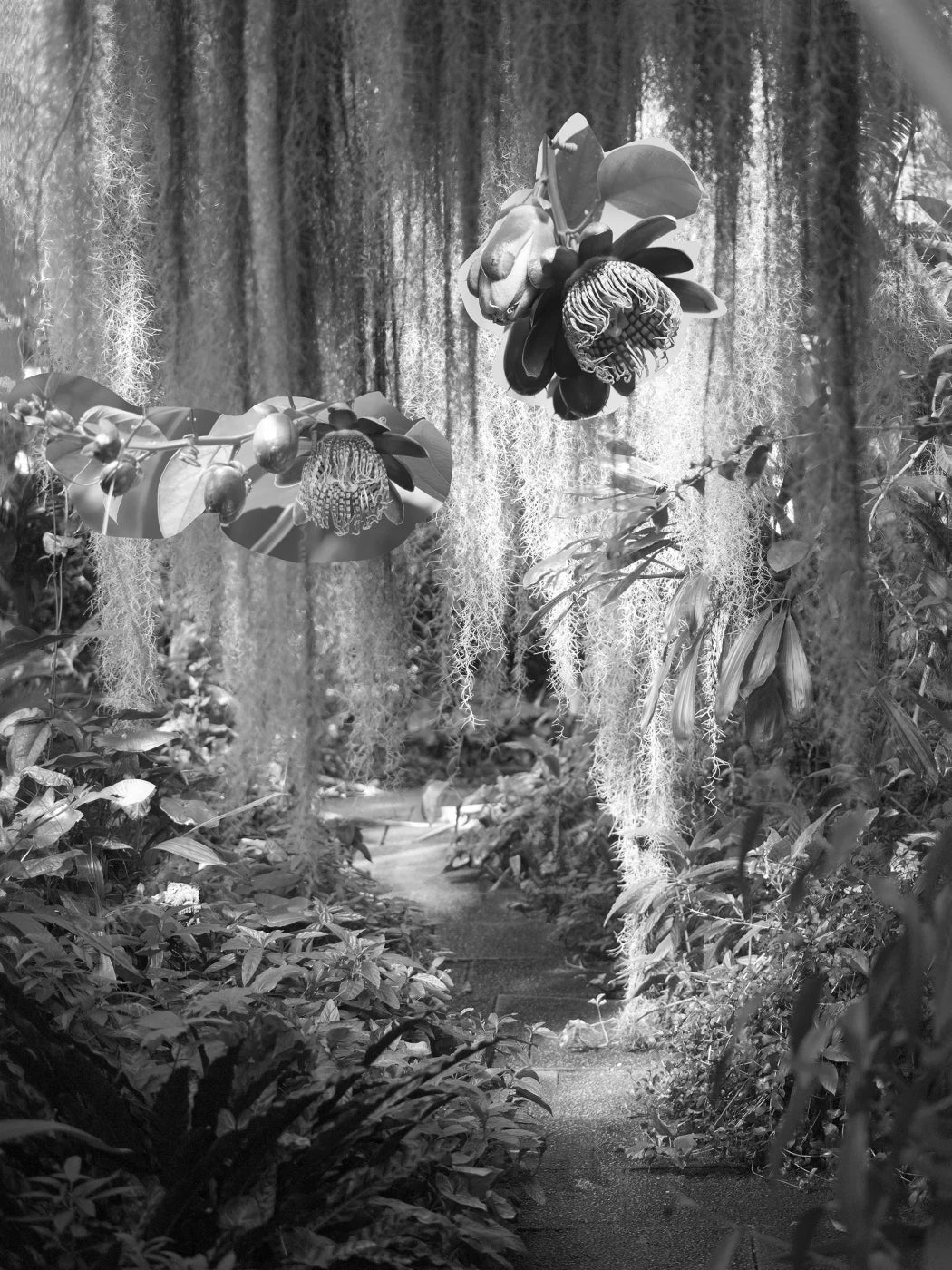 EXIT · Nº98 Flora: Natural vs Artificial