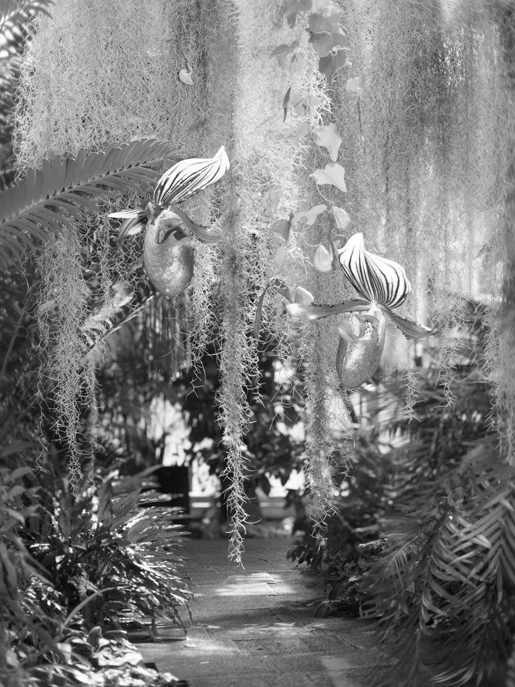 EXIT · Nº98 Flora: Natural vs Artificial