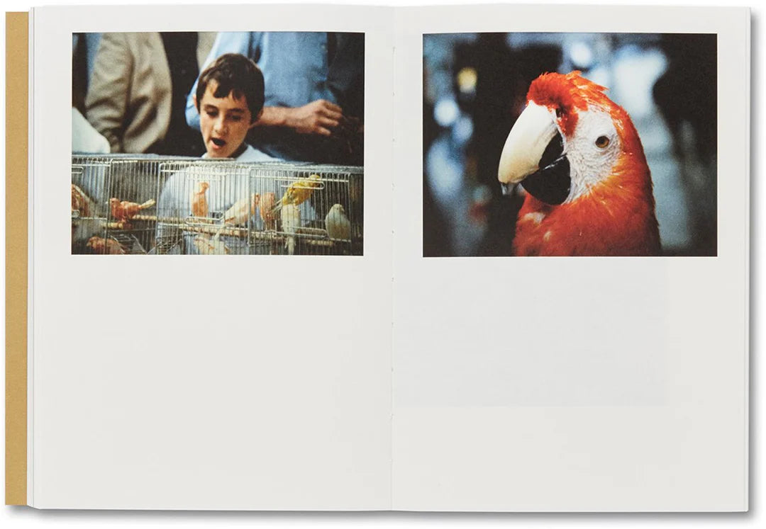 AN ATTIC FULL OF TRAINS · Alberto & Carlotta Di Lenardo