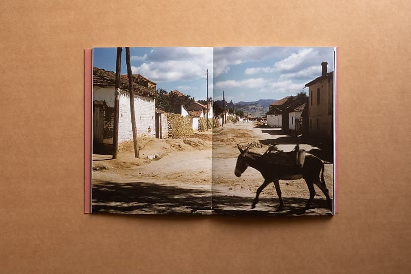 L'ÀLBUM DE L'ARQUITECTE 02 · Denise Scott Brown